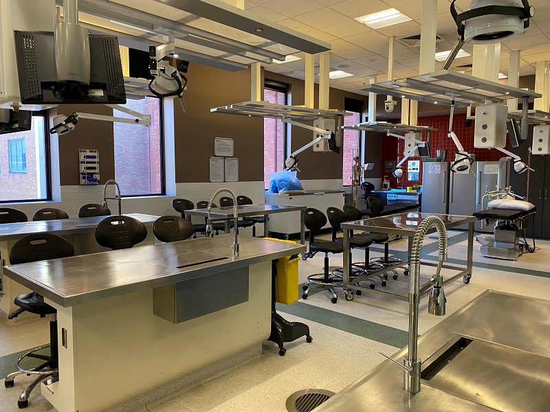 Teaching Lab - St Vincent's Hospital Melbourne